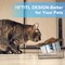 Elevated Tilted Double Stainless Steel Dog Cat Bowls, Raised Pet Food Water Feeding Stand for Small Puppies & Kittens
